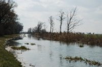 Stav hladiny rieky Malá Nitra v Nitrianskom Hrádku