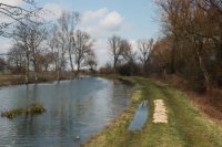 Stav rieky Malá Nitra v Nitrianskom Hrádku