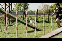 Agility klub Nitra