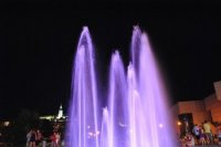 Foto: Dušan Magyari