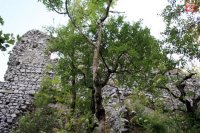 Zrúcaniny Ostrého Kameňa