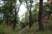 Zrúcaniny Ostrého Kameňa