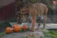 ZOO Košice