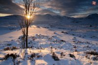 Autor:  P. Michalík