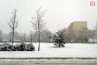 pohľad na sídlisko z Hlbokej