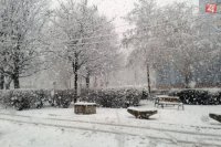 parčík na Paulínskej