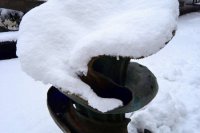 Svoje fotografie poslal aj Vlado Salzer