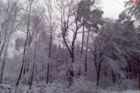 Fotky z Cemjaty poslala čitateľka Ivana Baranová