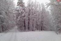 Fotky z Cemjaty poslala čitateľka Ivana Baranová