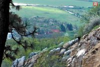 Foto: Viktor Fülöp