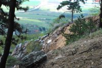 Foto: Viktor Fülöp