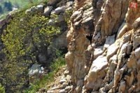 Foto: Viktor Fülöp