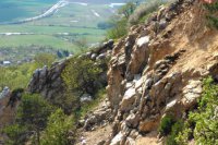 Foto: Viktor Fülöp