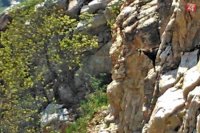 Foto: Viktor Fülöp