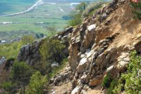 Foto: Viktor Fülöp