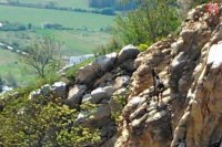 Foto: Viktor Fülöp