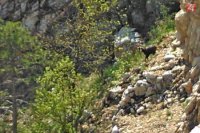 Foto: Viktor Fülöp