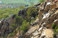 Foto: Viktor Fülöp