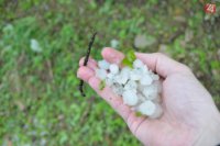 Krúpy ostali v Prešove aj na druhý deň. Foto: Dušan Guman