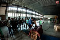 Deti s detských domovov prešli tréningom základných parkourových techník