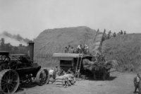 Na archívnej snímke z 28. júla 1948 mlatba v Trnavskom okrese.