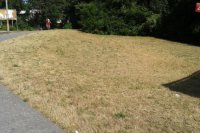 Suchá tráva je na každom kroku