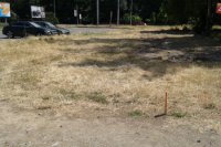 Na Huštáku tiež vidno dôsledky horúcich dní