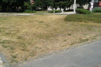 Aj pri Múzeu SNP je tráva poriadne vysušená