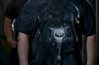 Prešov je muzikálny, nepochybuje o tom ani človek v Bratislave, uviedol okrem iného v rozhovore dídžej Peter Migaš