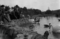 21. august 1960. Foto - Magda Slosiariková