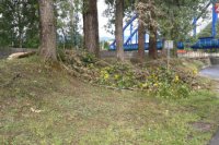 Dôsledky vyčíňania búrok v Banskej Bystrici