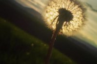 Západ slnka. Autor: katkabiski