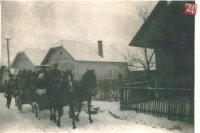 Jasenové