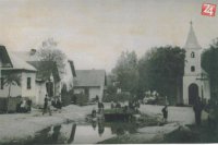 Jasenové