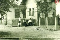 Jasenové