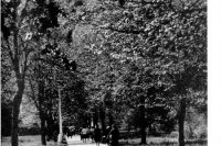Rajecké Teplice