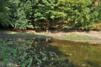 Na snímke pokles hladiny vody v jazierku v dôsledku horúčav pri zámku v Smoleniciach