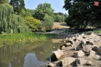 Na snímke pokles hladiny vody v jazierku v dôsledku horúčav pri zámku v Smoleniciach