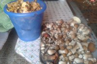 Hubárske úlovky Banskobystričanky Tatiany Fikusovej.