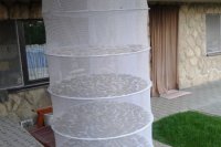 Hubárske úlovky Banskobystričanky Tatiany Fikusovej.