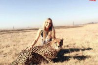 Leopard Felix,Johannesbourg/Južná Afrika