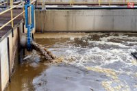 Foto – Štefan Puškáš