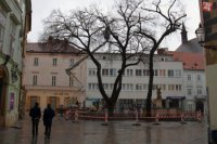 Zdroj Bratislava Pipe Club