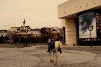 Autor: Jakub Chochula