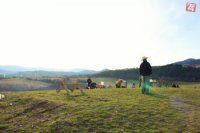 Nemce, foto: Lucia Klinerová