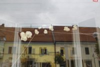 Symbol dvoch reprezentujúcich generácií