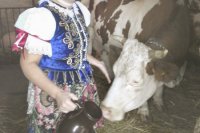 Folklórna skupina Jožka Príhodu Petrovian sa vo svojej tvorbe zameriava predovšetkým na obradový folklór. Vedúca súboru a riaditeľka materskej školy Monika Jankovičová (na snímke) ukázala, ako sa pred štedrou večerou gazdiné išli postarať o dobytok.