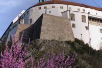 7.cena autor: Bernadeta Ballová