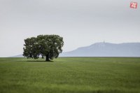 10.cena autor: Ivana Hyksová