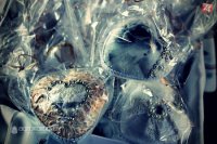 Foto: Agrokomplex NÁRODNÉ VÝSTAVISKO, štátny podnik